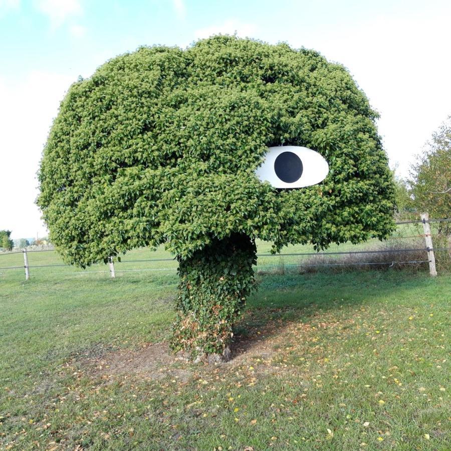 Gite Dans Parc De Sculptures - Gite "Pondichery" Port-Mort Exterior foto